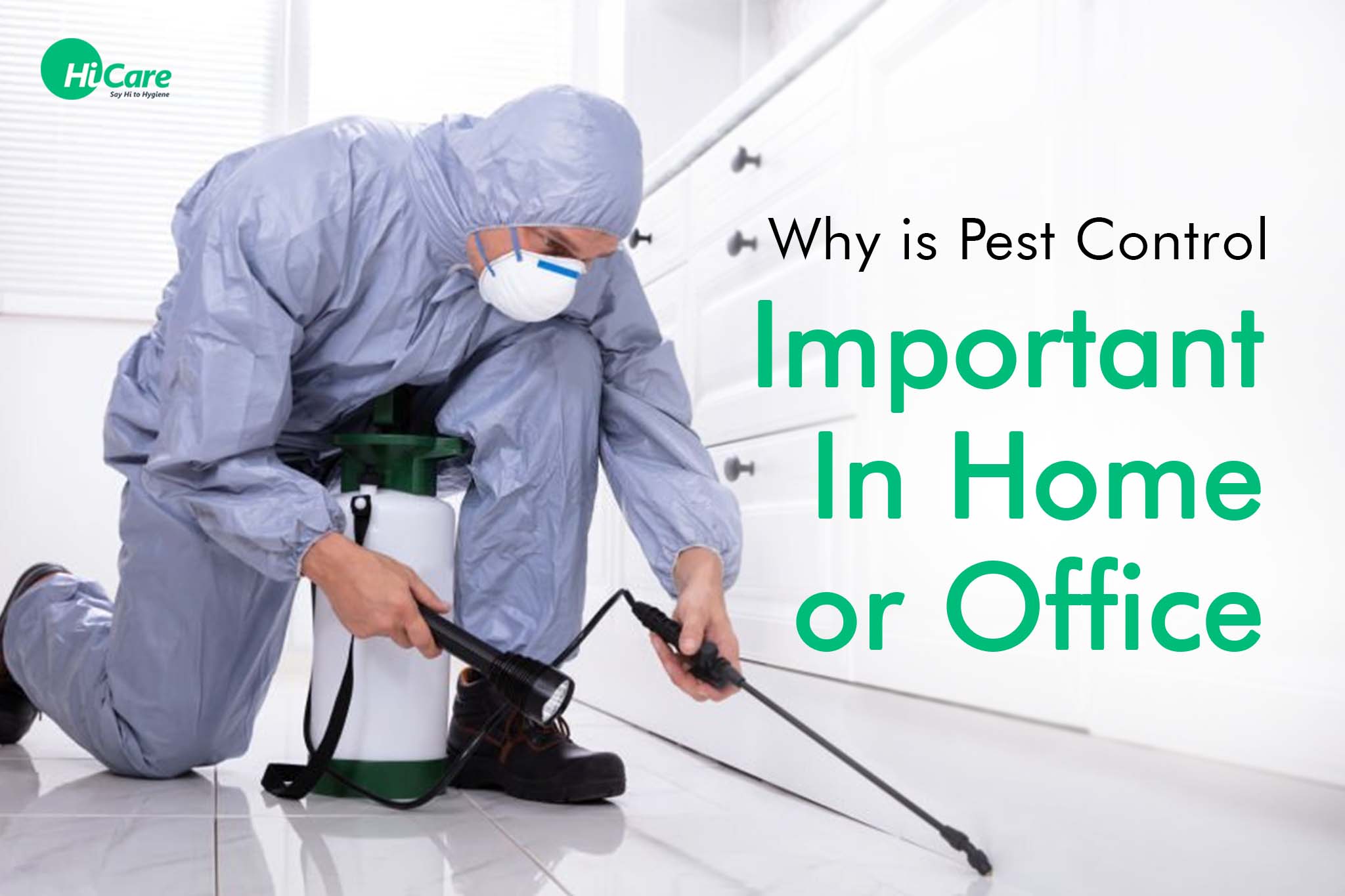 How Ants Invade Your Home and How to Stop Them