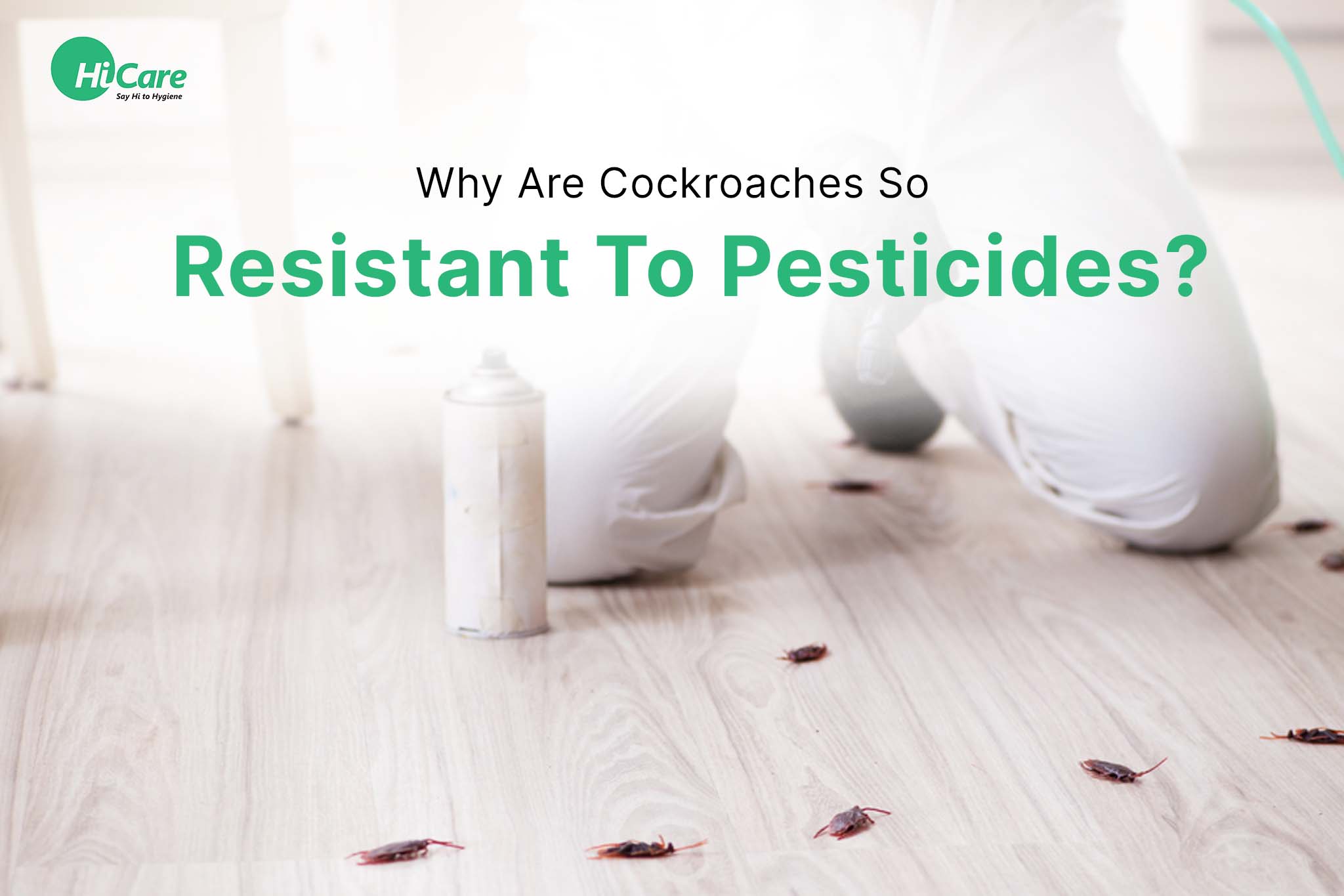 5 Do’s & Don’ts of Flying Termites