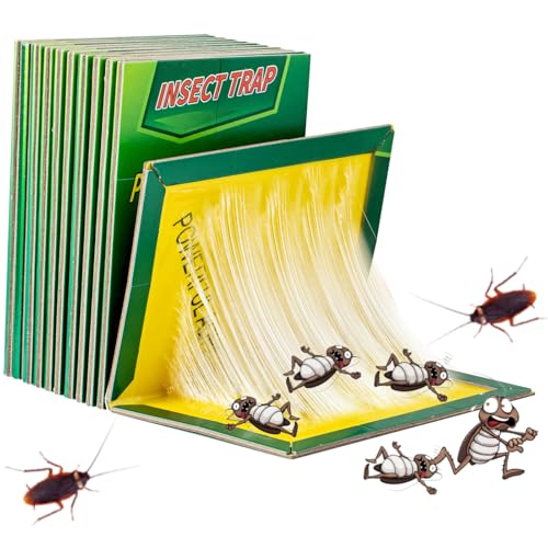 Why your DIY mosquito treatments aren’t working