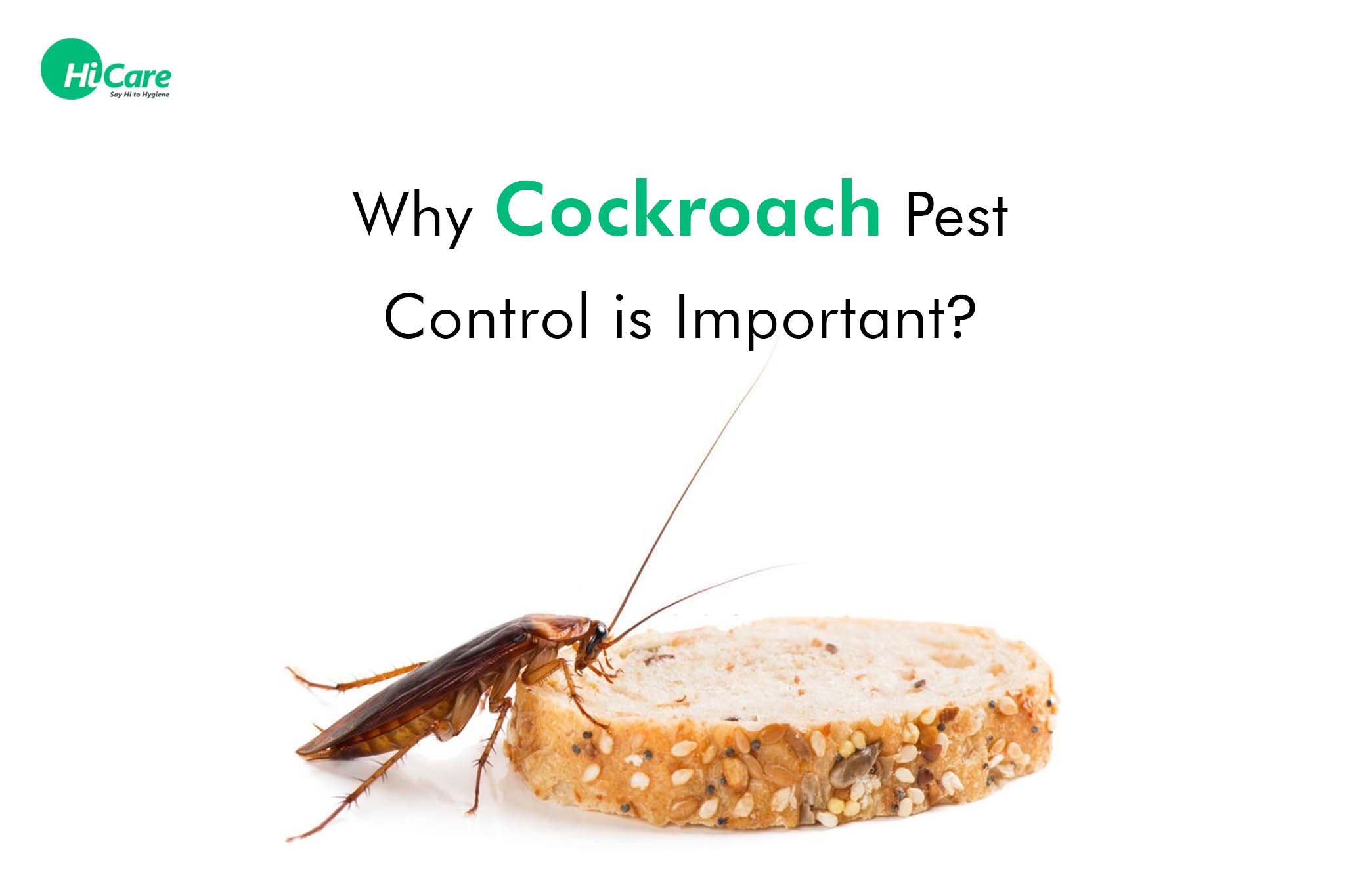 5 Simple Ways to Keep Common Pests Out of Your Home