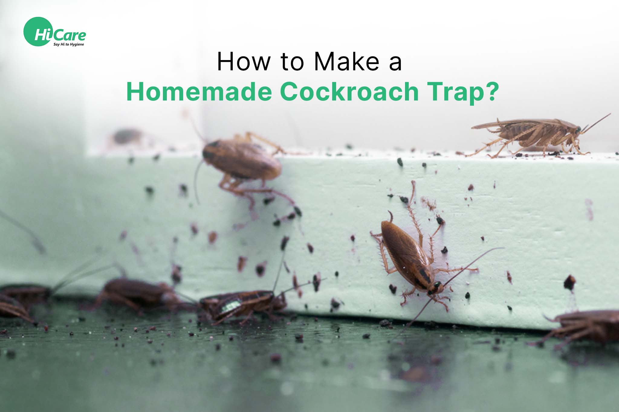 Why your DIY mosquito treatments aren’t working